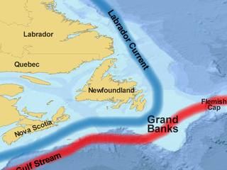 Grand Banks